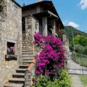 Bild 5: Iseo See - ruhige Ferien auf dem Agriturismo El Giardi