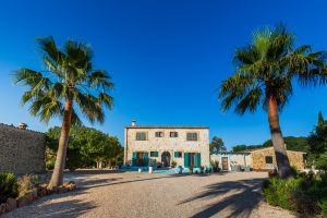 25 große Palmen und andere Palmenarten befinden sich auf unserem Grundstück. Wenn Sie zu uns kommen, fahren Sie die Palmenauffahrt zur Finca Limoncello - herzlich Willkommen!