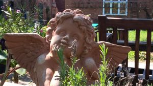 Bild 11: Ferienwohnung Märkisch Oderland in Groß Neuendorf