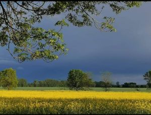 Bild 16: Ferienwohnung Märkisch Oderland in Groß Neuendorf