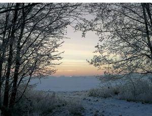 Bild 12: Ferienwohnung Märkisch Oderland in Groß Neuendorf