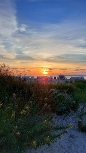 Bild 32: Norden/ Norddeich Ferienwohnung Mery für 2-4 Personen, Balkon, + Hund