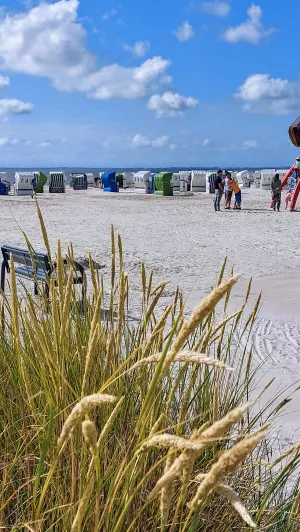 Bild 27: Norden/ Norddeich Ferienwohnung Mery für 2-4 Personen, Balkon, + Hund