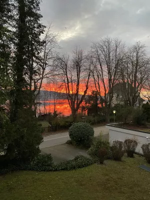 Bild 9: Ferienwohnung Seeblick Mettnau