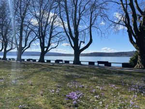 Der schöne Mettnaupark mit Seezugang und Liegewiese direkt vorm Haus.