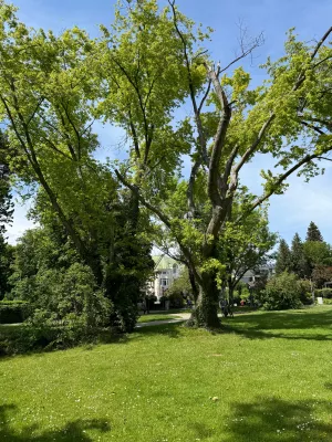 Bild 14: Ferienwohnung Seeblick Mettnau