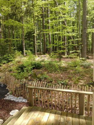 kleine Terrasse fast im Nationalpark