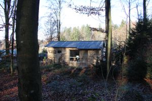 Blick vom Wald auf unser Haus sowie campingplatz