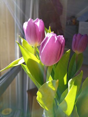 kleiner Willkommensgruß