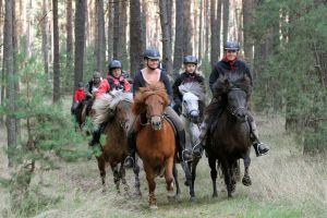 Auf einem unserer Ausritte im Gelände