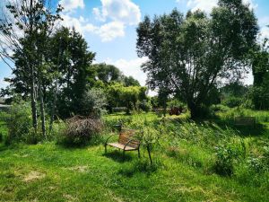 Bild 12: Urlaub auf dem Reiterhof in Brandenburg