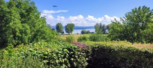 Bild 34: Ferienhaus Gundo auf der Halbinsel Höri
