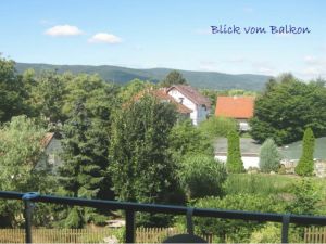 Bild 1: Harzfewo Wolf Bad Harzburg