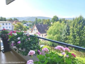 Bild 8: Harzfewo Wolf Bad Harzburg