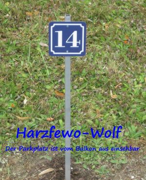 Bild 16: Harzfewo Wolf Bad Harzburg