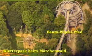 Bild 20: Harzfewo Wolf Bad Harzburg