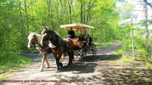 Bild 22: Harzfewo Wolf Bad Harzburg