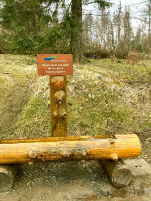 Bild 23: Harzfewo Wolf Bad Harzburg