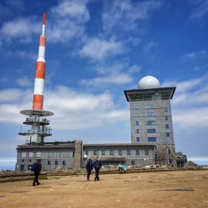 Bild 26: Harzfewo Wolf Bad Harzburg