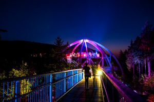 Bild 43: Harzfewo Wolf Bad Harzburg