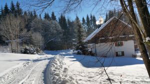 Bild 17: Waldhaus Sonnenberg Fewo 2 - der Traum von Ruhe und Erholung