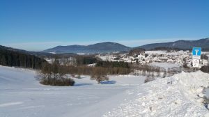 Bild 18: Waldhaus Sonnenberg Fewo 2 - der Traum von Ruhe und Erholung