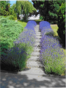 Ferienwohnung Immenstaad, Erste Seereihe, Privatgarten