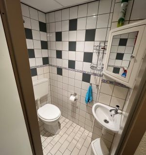 Bild 4: Strandnahes Ferienhaus Carpe Diem für 6 Personen mit Hund in Breskens