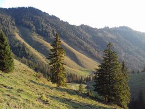 Bild 30: Fewo am Auerbach