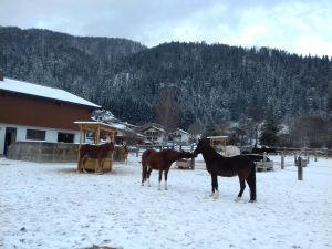 Bild 31: Fewo am Auerbach