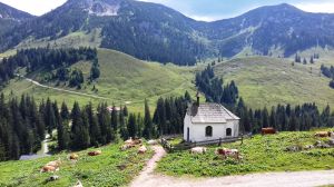 Bild 27: Fewo am Auerbach