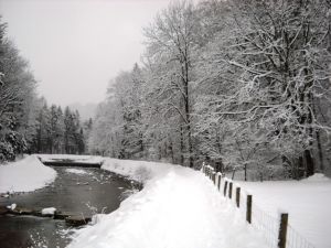 Bild 12: Fewo am Auerbach