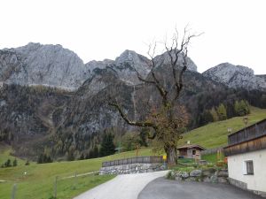 Bild 21: Fewo am Auerbach