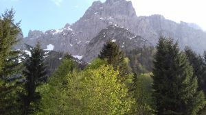 Bild 19: Fewo am Auerbach