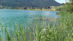 Bild 24: Fewo am Auerbach