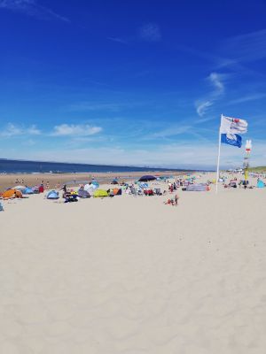 Bild 28: Luxus Mobilheim 68 qm plus Überdachung strandnah Nieuwvliet