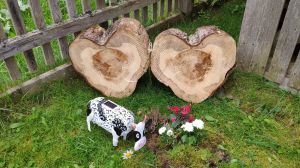 Griaß di, i gfrei mi auf di. Bei uns auf 1000 Meter gibt’s kein Sie.