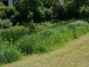 mit Goldfischen ziert ebenfalls den Vorgarten vor der Terrasse