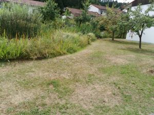 Blick von Terrasse auf Vorgarten