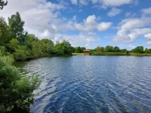 Bild 10: Ferienhaus bis 2 Gäste mit Garten und Gartensauna in Ostfriesland