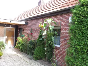 Hausansicht Ferienhaus Hausansicht Ferienhaus