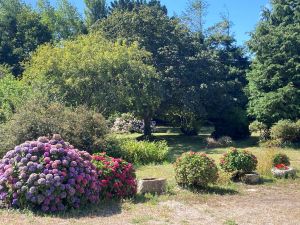 Bild 8: großzügiges Bauernhaus mit Sauna in der Bretagne
