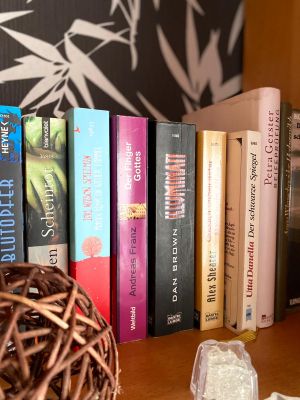 Bild 14: Ferienwohnung Schwalbennest im Welterbe Oberes Mittelrheintal