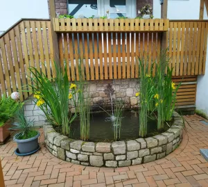 Bild 7: Ferienwohnung Bussard im Welterbe Oberes Mittelrheintal