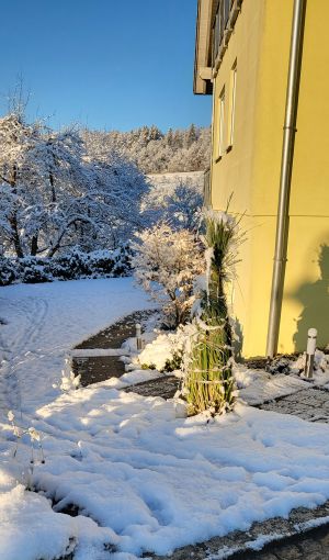 Bild 26: Ferienwohnung Am Hummelbuck