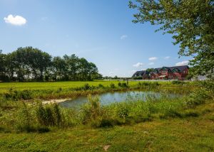 Bild 17: Erholungsurlaub an der Nordsee im Landhaus Wittmaack Dircks (Obergeschoss)