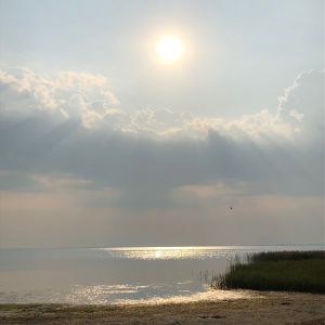 Bild 24: Ferienhaus Am Gutspark 3 - Ostsee