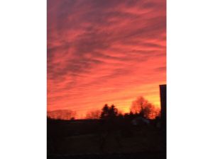 Bild 21: Ferienwohnung "Eifelblick in Schüller"