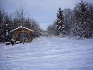 "An den sieben Wegen"