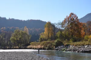 Bild 15: Gemütliches Apartment für Zwei